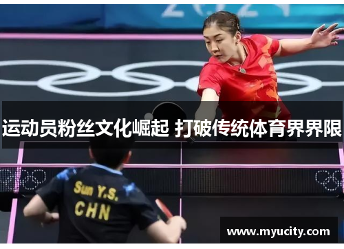 运动员粉丝文化崛起 打破传统体育界界限